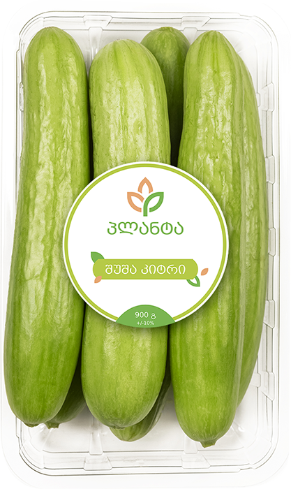 შუშა კიტრი