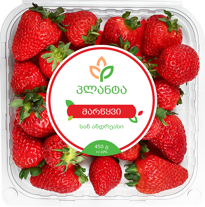 მარწყვი