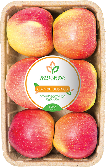 ვაშლი პინოვა