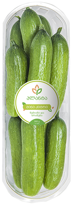 მინი კიტრი