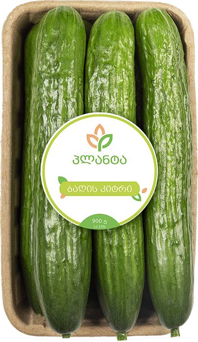 ბაღის კიტრი