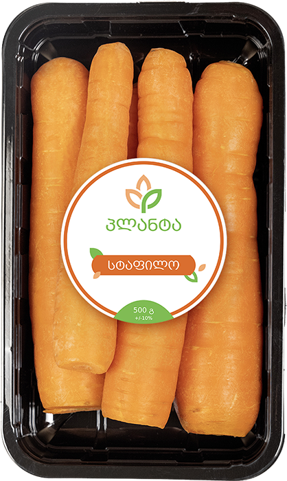 სტაფილო