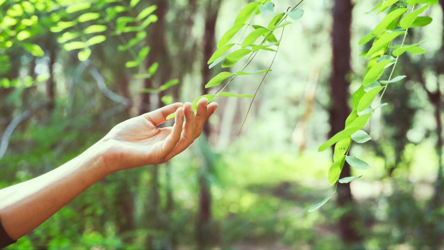 როგორ შევინარჩუნოთ მენტალური და ემოციური სტაბილურობა არასტაბილურ დროს