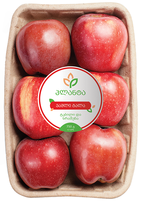 ვაშლი გალა