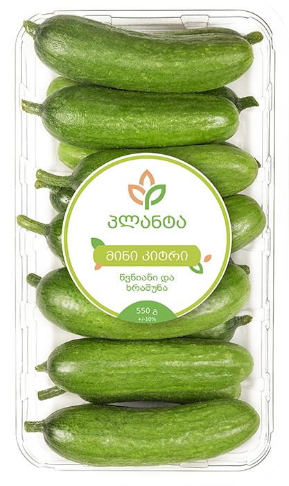 მინი კიტრი