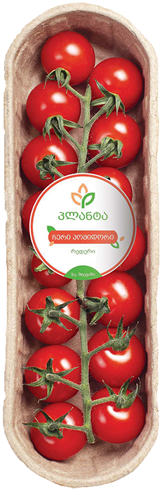 ჩერი პომიდორი რედერი