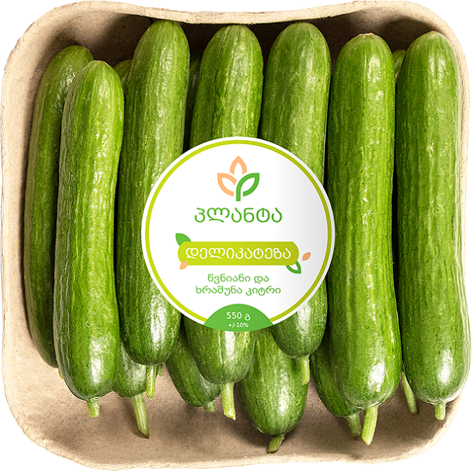 კიტრი დელიკატეზა