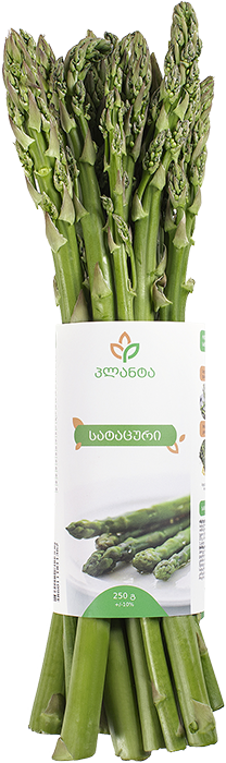 სატაცური